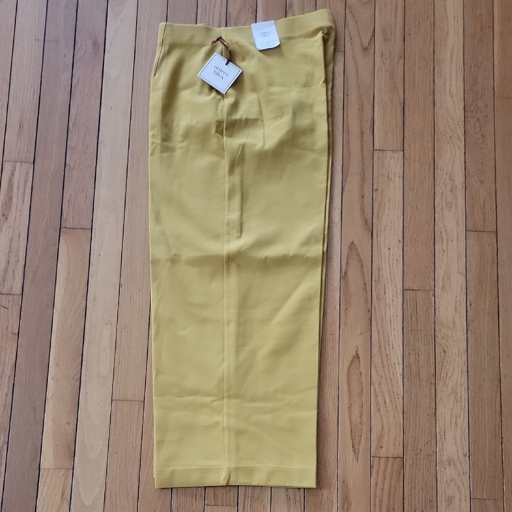 Yellow Ankle Cropped Pants with Flat Front Design